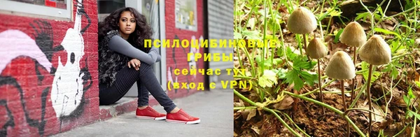 a pvp Абинск