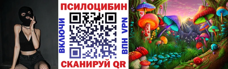 Галлюциногенные грибы Psilocybine cubensis hydra зеркало Правдинск